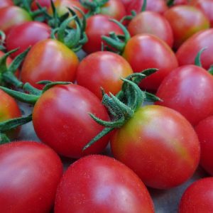 tomat-Malinowy-Kapturek